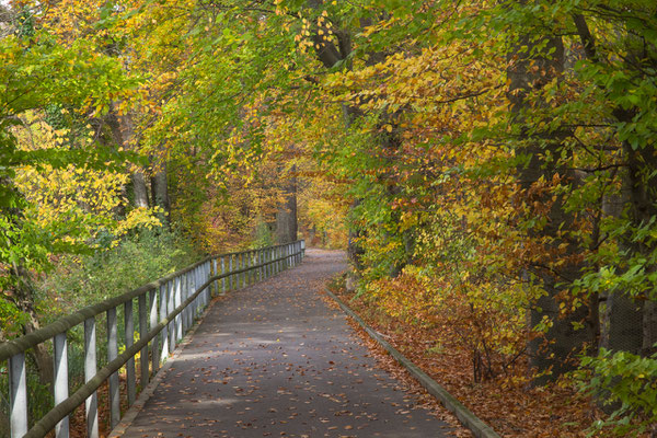 "Süfzgi" Aare-Spazierweg Richtung Trimbach / Winznau