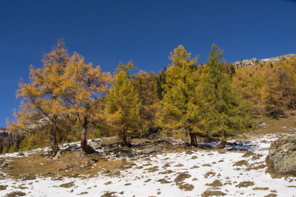 PA2577578