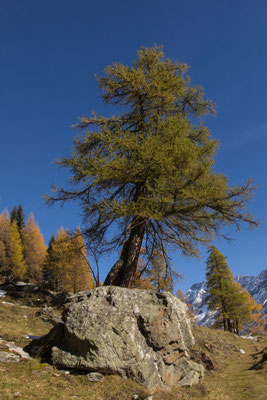PA257642
