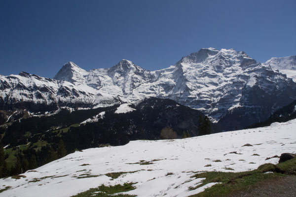 Eiger, Mönch & Jungfrau von der Grütschalp aus gesehen / Bild Nr. P4297358