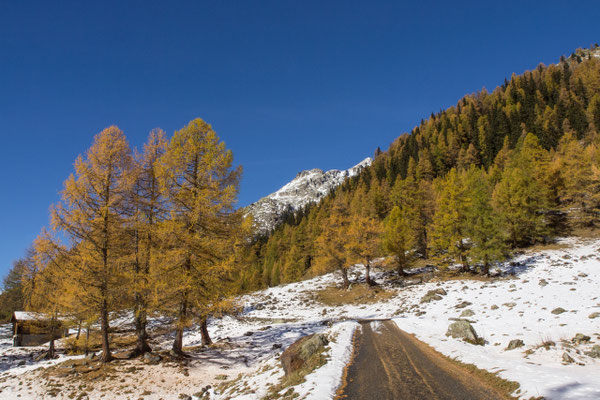PA257572