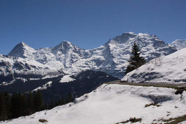 Eiger, Mönch und Jungfrau / Bild Nr. P4297353