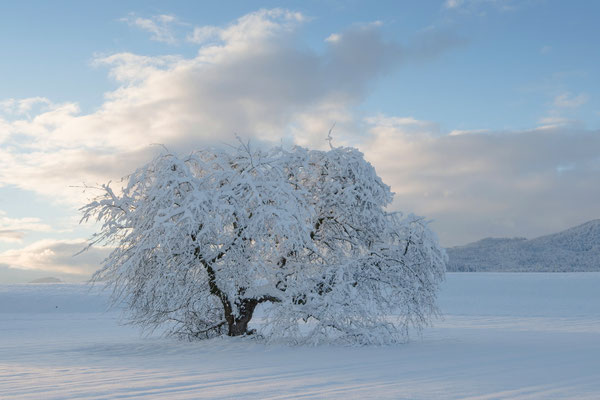 Wintertraum in Winznau