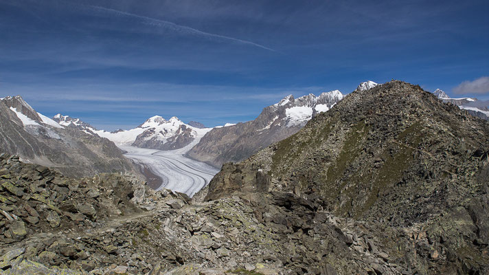 Aletschgletscher im Vordergrund rechts das Eggishorn / Bild-Nr. 8271005