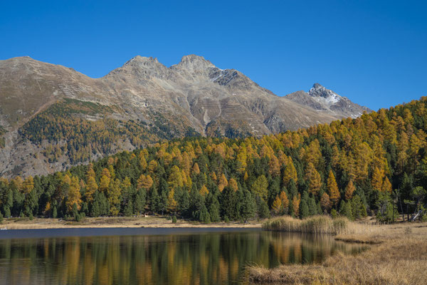 Lej da Staz