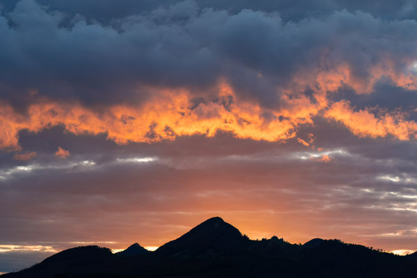 MSW3648 - Abendstimmung in Winznau