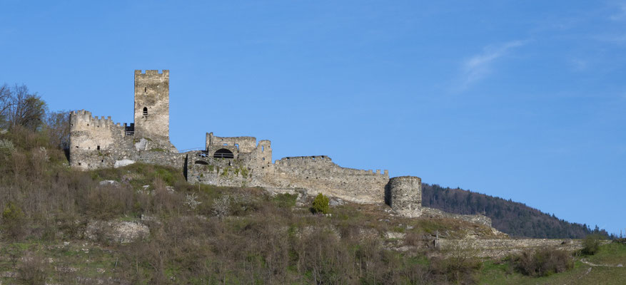 Burgruine Hinterhaus Spitz