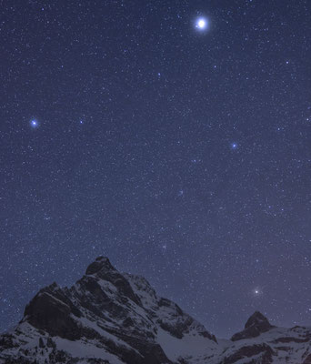 Braunwald