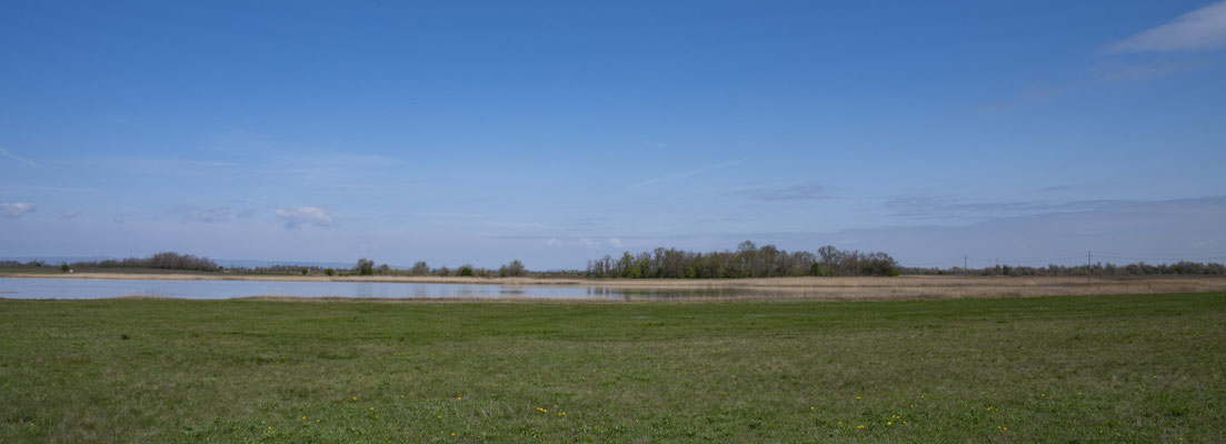 Neusiedlersee: Seewinkel-Safari