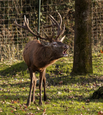 Bild-Nr. PC222444