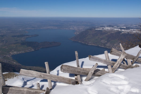 Bild-Nr. P3094565 / Rigi