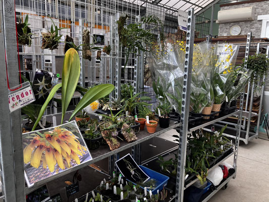 農場だより - (株)東京オーキット・ナーセリー