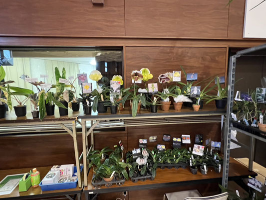 農場だより - (株)東京オーキット・ナーセリー