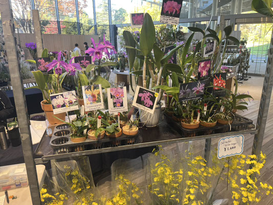 農場だより - (株)東京オーキット・ナーセリー