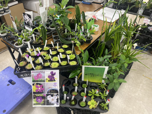 農場だより - (株)東京オーキット・ナーセリー