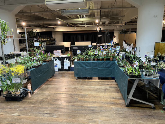 秋のオーキッド＆ボタニカルフェア2025 in 神戸に出店します - (株