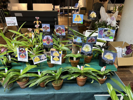 農場だより - (株)東京オーキット・ナーセリー