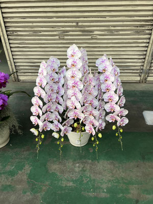 農場だより - (株)東京オーキット・ナーセリー