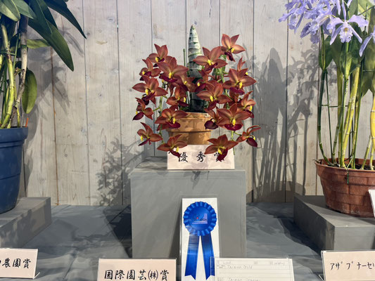 農場だより - (株)東京オーキット・ナーセリー