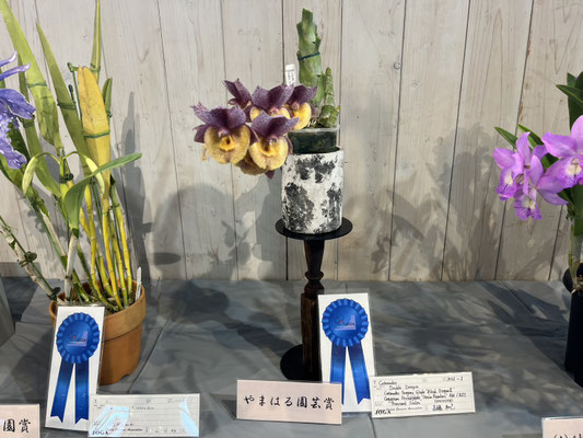 農場だより - (株)東京オーキット・ナーセリー