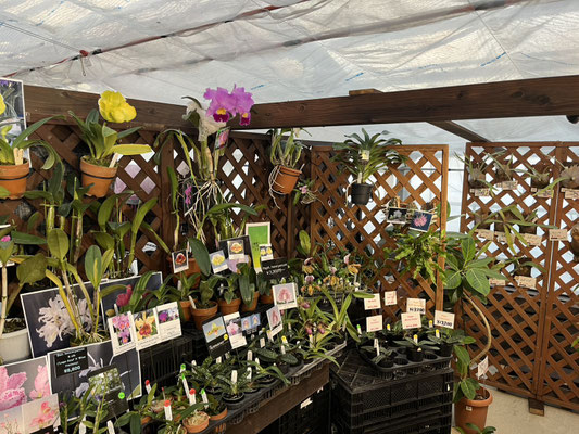 農場だより - (株)東京オーキット・ナーセリー