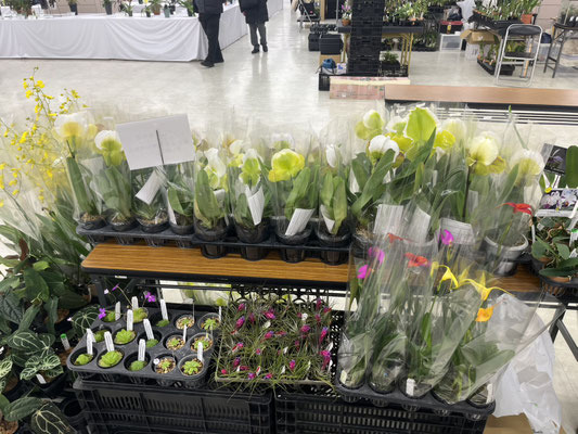 農場だより - (株)東京オーキット・ナーセリー