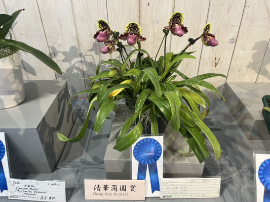 農場だより - (株)東京オーキット・ナーセリー