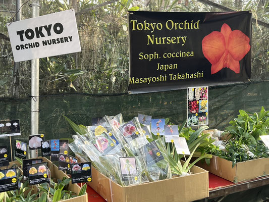 農場だより - (株)東京オーキット・ナーセリー