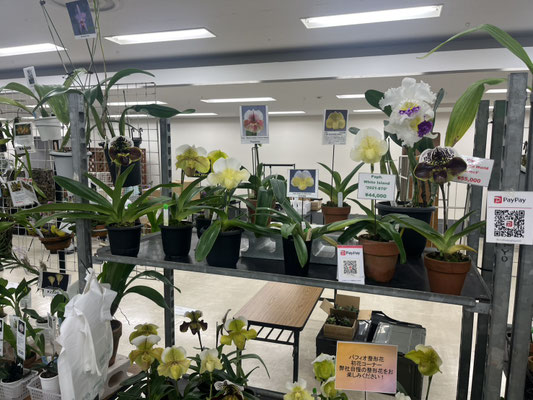 農場だより - (株)東京オーキット・ナーセリー