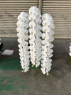 はなつみ 🛒なつみ➰🍊 (@miya_732) / Posts / X