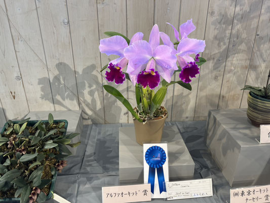 農場だより - (株)東京オーキット・ナーセリー