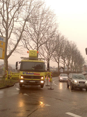 Baumpflege, Baumfällen Pforzheim