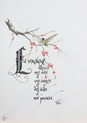 C8 - 50x40 - Encre -  VENDUE