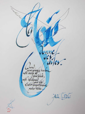 C71 - 50x35 - Encre 
