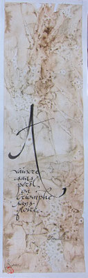 C76 - Encre et décors - 50x15 - 40€ 