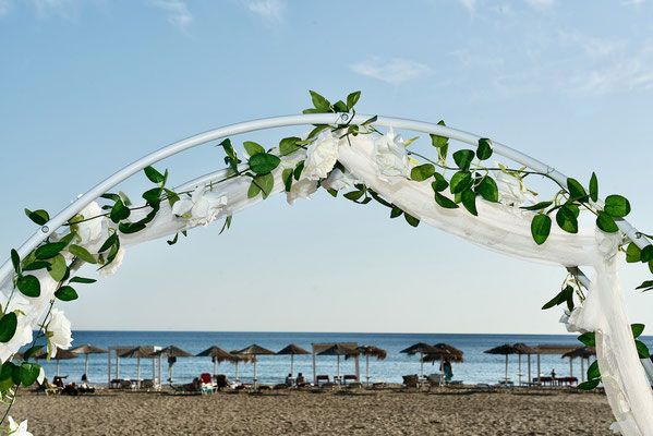 rose arch with blue sky