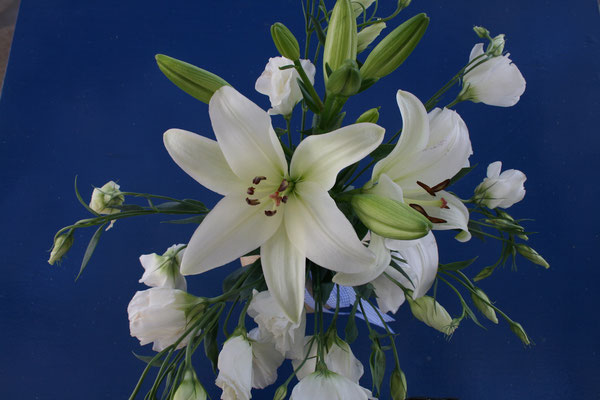 Strauß mit weißen Lilien vor blauem Hintergrund