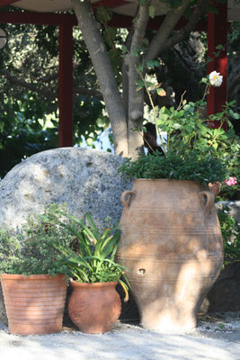 amphore with flowers at the Sto Scolio Restaurant in  Anidri near Paleochora