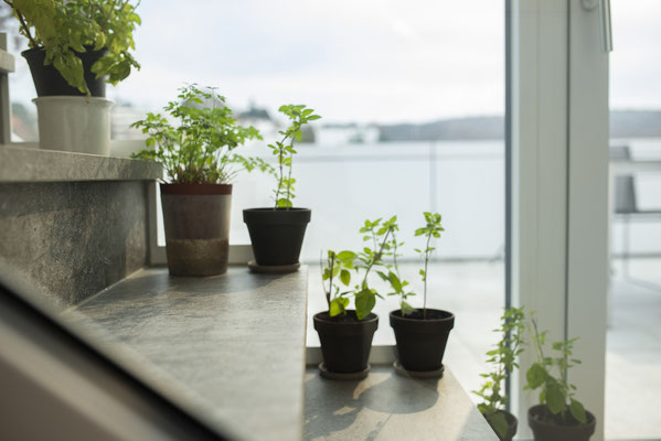 Fliesenlegerfachbetrieb Fliesenfachgeschäft Matthias Raisch - Penthouse in Stuttgart - Tradition trifft Innovation mit edlem Feinsteinzeug von Raisch. Gartenkräuter auf der Treppe