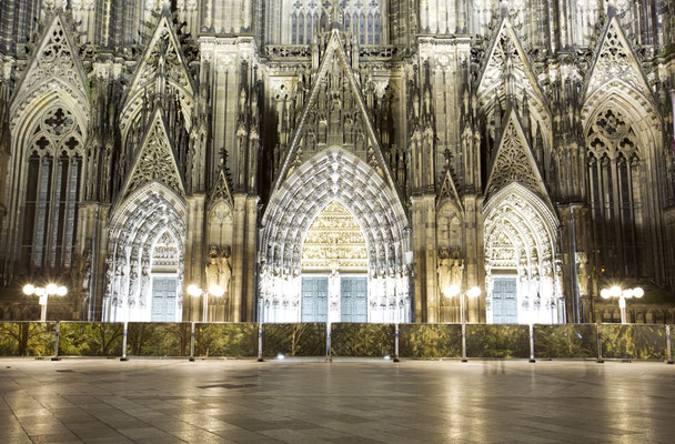 Embassy of Trees,Klimakunst, Fotoinstallation vor dem Weltkulturerbe Kölner Dom, ©Ellen Bornkessel
