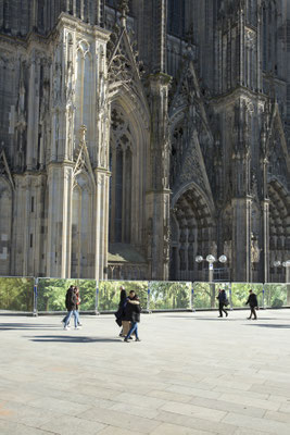 Embassy of Trees,Klimakunst, Fotoinstallation vor dem Weltkulturerbe Kölner Dom, ©Ellen Bornkessel