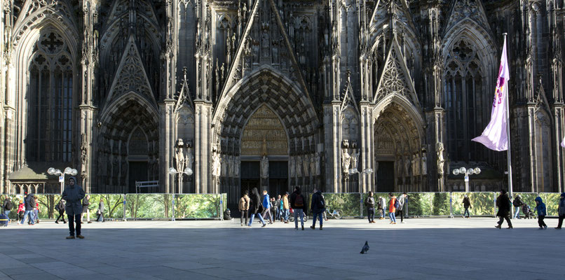 Embassy of Trees,Klimakunst, Fotoinstallation vor dem Weltkulturerbe Kölner Dom, ©Ellen Bornkessel