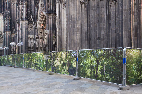 Embassy of Trees,Klimakunst, Fotoinstallation vor dem Weltkulturerbe Kölner Dom, ©Ellen Bornkessel