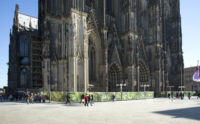 Embassy of Trees,Klimakunst, Fotoinstallation vor dem Weltkulturerbe Kölner Dom, ©Ellen Bornkessel