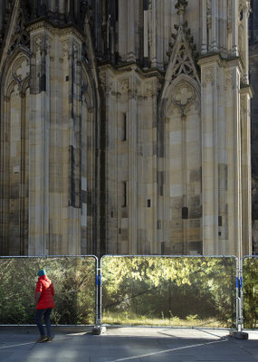 Embassy of Trees,Klimakunst, Fotoinstallation vor dem Weltkulturerbe Kölner Dom, ©Ellen Bornkessel
