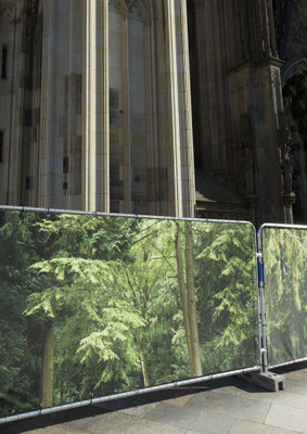Embassy of Trees,Klimakunst, Fotoinstallation vor dem Weltkulturerbe Kölner Dom, ©Ellen Bornkessel