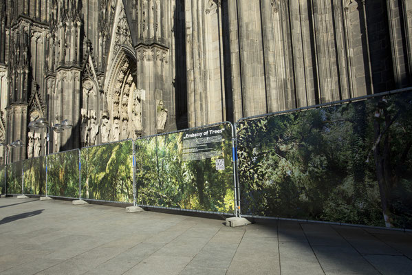 Embassy of Trees,Klimakunst, Fotoinstallation vor dem Weltkulturerbe Kölner Dom, ©Ellen Bornkessel