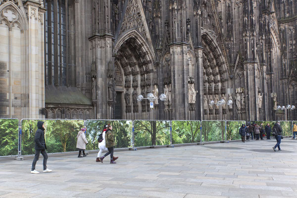Embassy of Trees,Klimakunst, Fotoinstallation vor dem Weltkulturerbe Kölner Dom, ©Ellen Bornkessel
