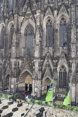 Embassy of Trees,Klimakunst, Fotoinstallation vor dem Weltkulturerbe Kölner Dom, ©Ellen Bornkessel