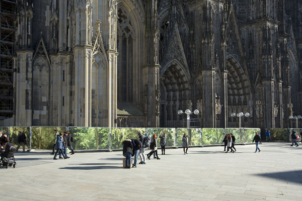Embassy of Trees,Klimakunst, Fotoinstallation vor dem Weltkulturerbe Kölner Dom, ©Ellen Bornkessel